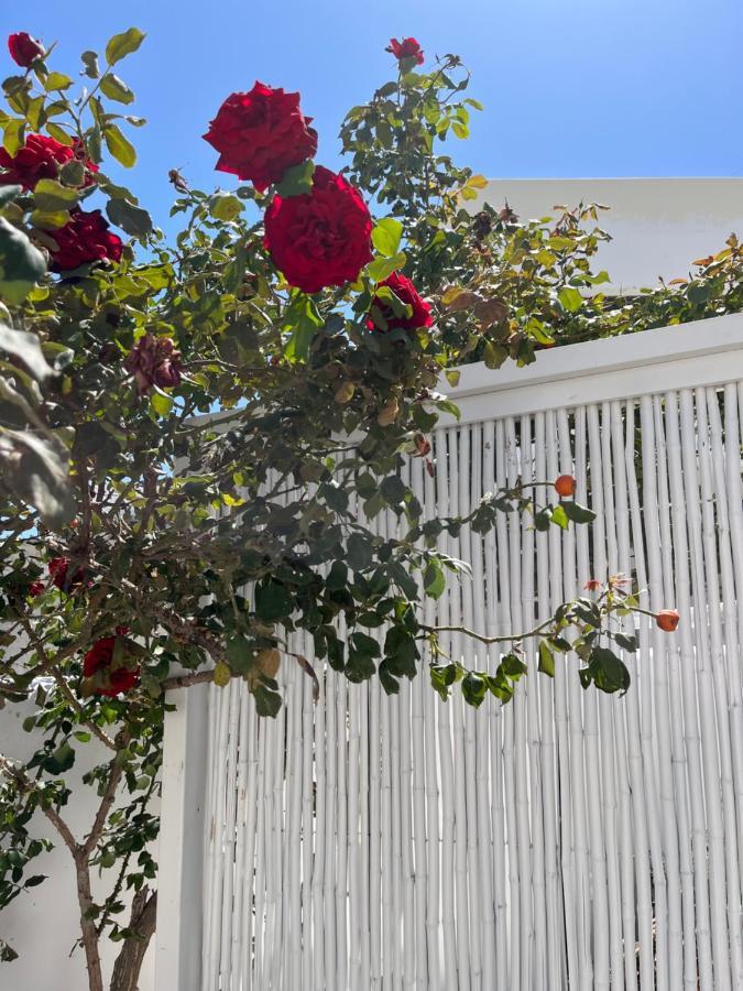 Aleria Central Apartments Naxos City Buitenkant foto